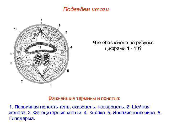     Подведем итоги:       Что обозначено