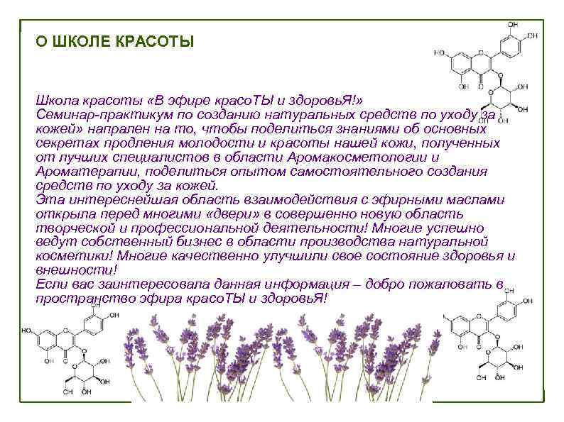 О ШКОЛЕ КРАСОТЫ  Школа красоты «В эфире красо. ТЫ и здоровь. Я!» Семинар-практикум