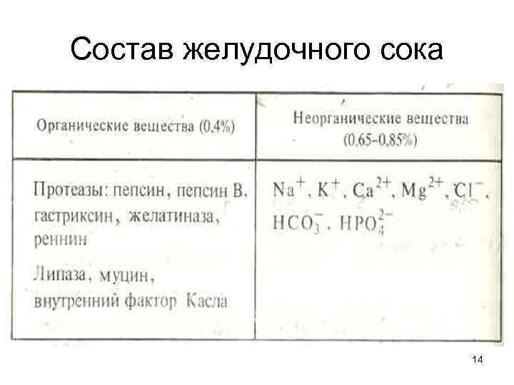 Состав желудочного сока      14 