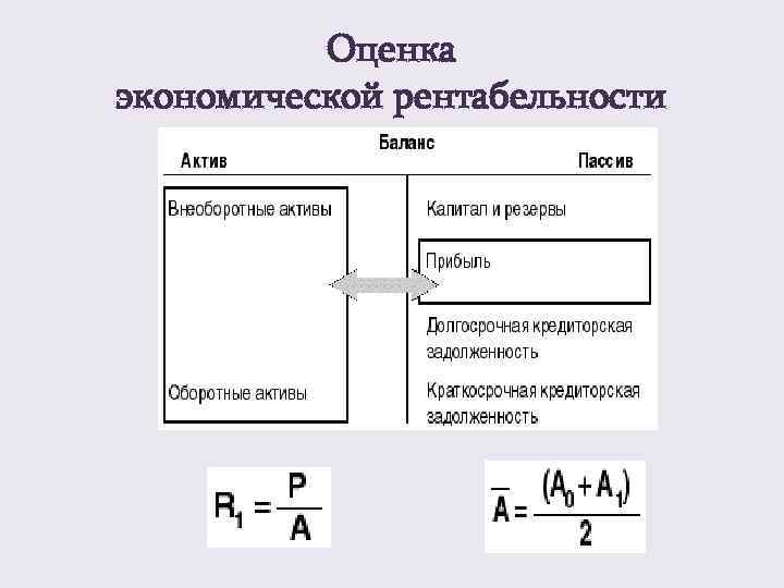    Оценка экономической рентабельности 