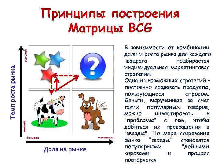 Принципы построения  Матрицы BCG  В зависимости от комбинации  доли и роста