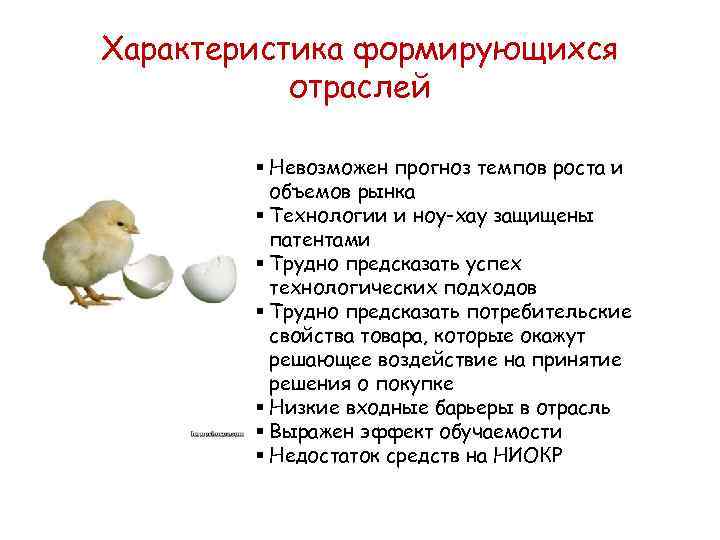 Характеристика формирующихся  отраслей   § Невозможен прогноз темпов роста и  объемов