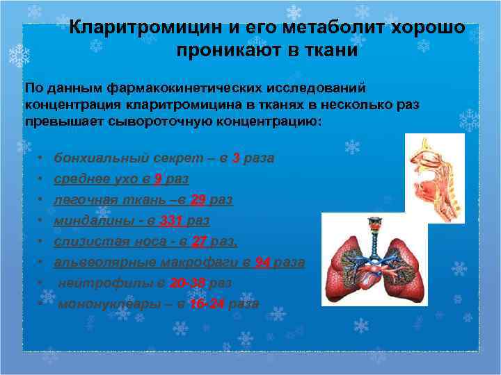  Кларитромицин и его метаболит хорошо    проникают в ткани По данным