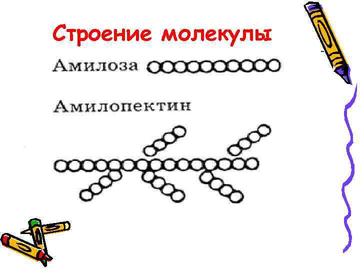 Строение молекулы 