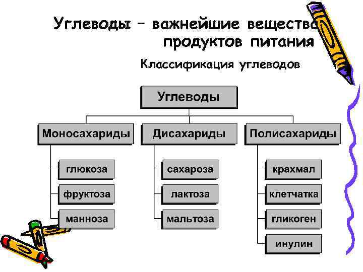 Классификация питания. Классификация продуктов питания. Продукты питания классификация схемы. Классификация пищевых продуктов схема. Классификация на тему продукты питания.