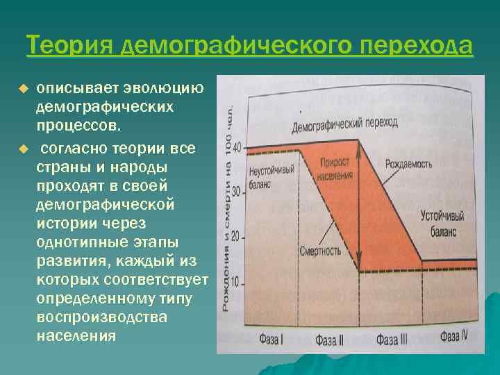 Теория демографического перехода u  описывает эволюцию демографических процессов. u  согласно теории все
