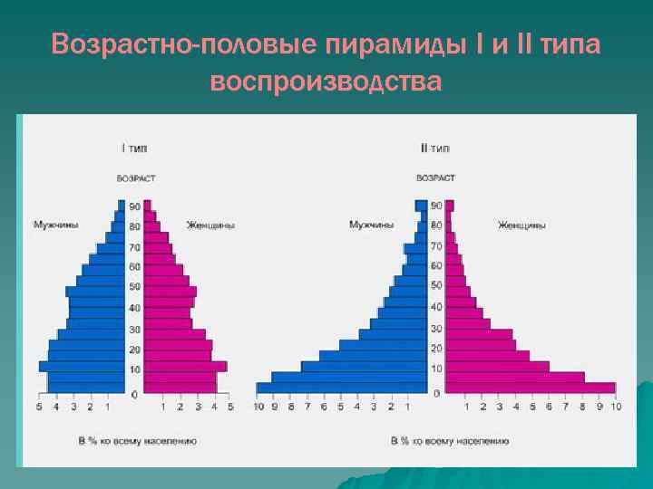 Возрастно-половые пирамиды I и II типа  воспроизводства 