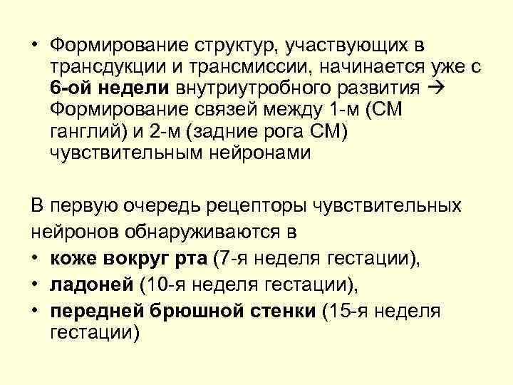 • Формирование структур, участвующих в трансдукции и трансмиссии, начинается уже с • Формирование структур, участвующих в трансдукции и трансмиссии, начинается уже с