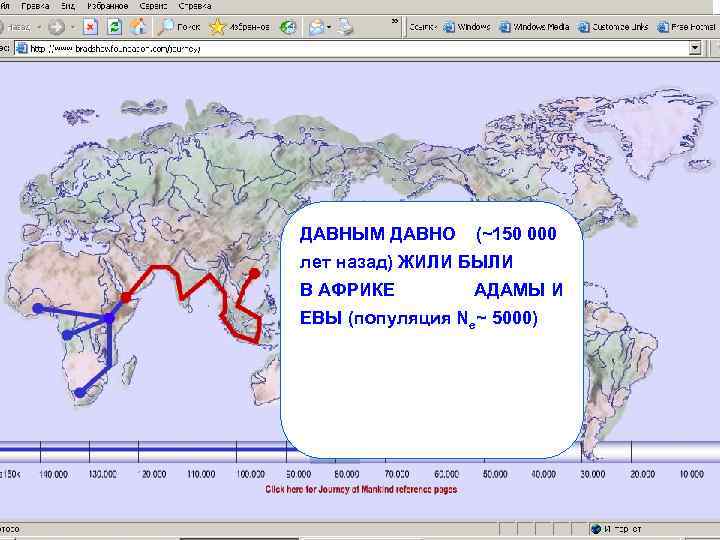 ДАВНЫМ ДАВНО (~150 000 лет назад) ЖИЛИ БЫЛИ В АФРИКЕ   АДАМЫ И
