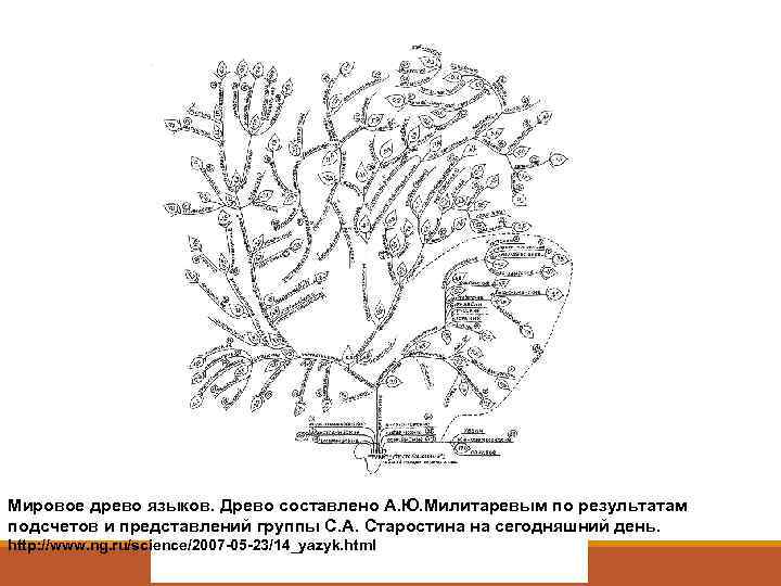 Языковое древо схема