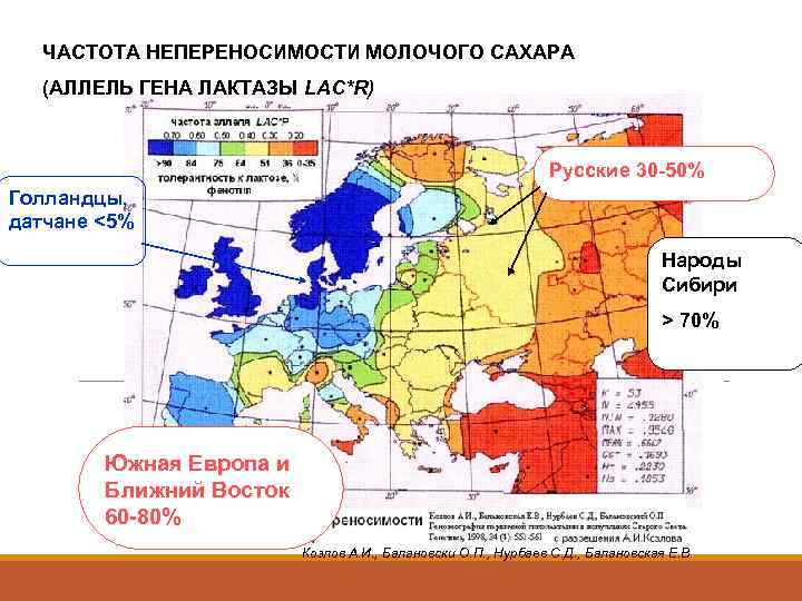  ЧАСТОТА НЕПЕРЕНОСИМОСТИ МОЛОЧОГО САХАРА  (АЛЛЕЛЬ ГЕНА ЛАКТАЗЫ LAC*R)    