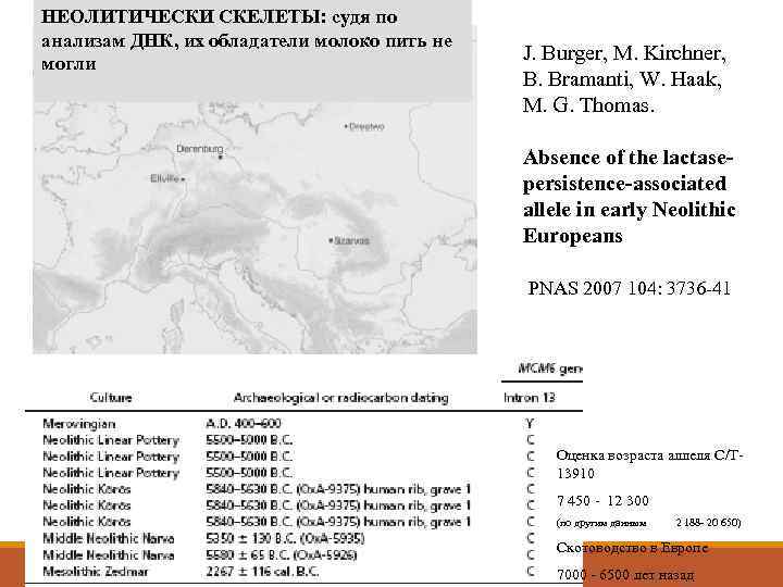 НЕОЛИТИЧЕСКИ СКЕЛЕТЫ: судя по анализам ДНК, их обладатели молоко пить не могли  