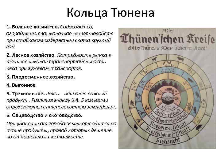     Кольца Тюнена 1. Вольное хозяйство. Садоводство, огородничество, молочное животноводств при