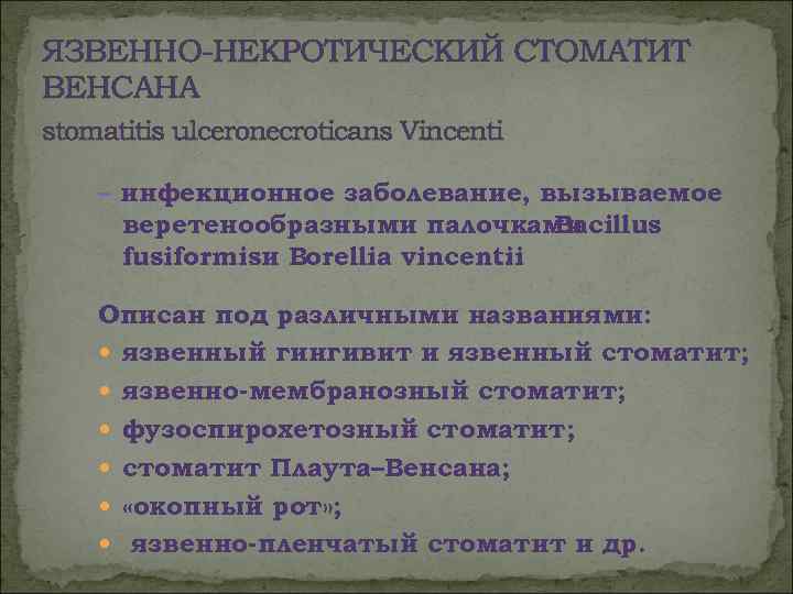 ЯЗВЕННО-НЕКРОТИЧЕСКИЙ СТОМАТИТ ВЕНСАНА stomatitis ulceronecroticans Vincenti  – инфекционное заболевание, вызываемое  веретенообразными палочками