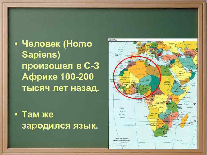  • Человек (Homo  Sapiens)  произошел в С-З  Африке 100 -200