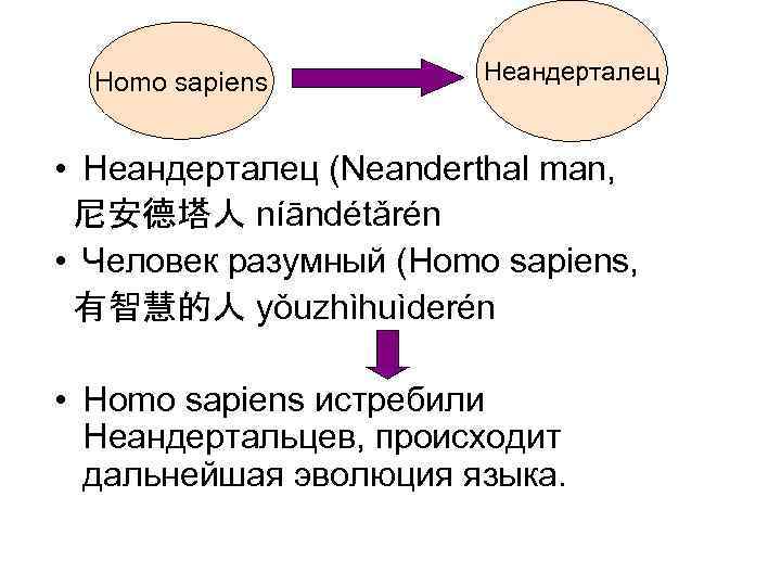  Homo sapiens   Неандерталец  • Неандерталец (Neanderthal man, 尼安德塔人 níāndétǎrén •