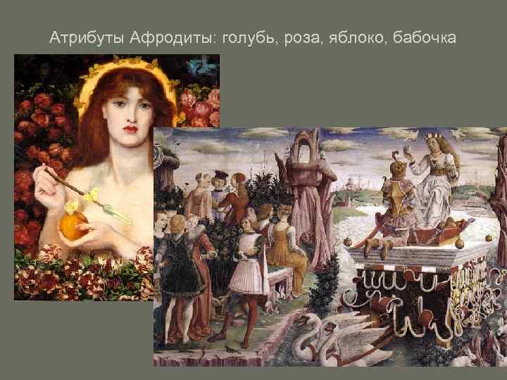 Атрибуты Афродиты: голубь, роза, яблоко, бабочка 