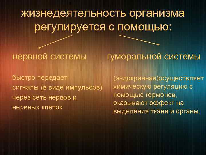  жизнедеятельность организма регулируется с помощью:  нервной системы  гуморальной системы быстро передает