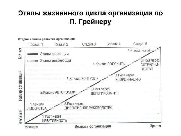 Ларри грейнер. Этапы жизненного цикла организации по л. Грейнеру. Жизненный цикл компании Ларри Грейнер.