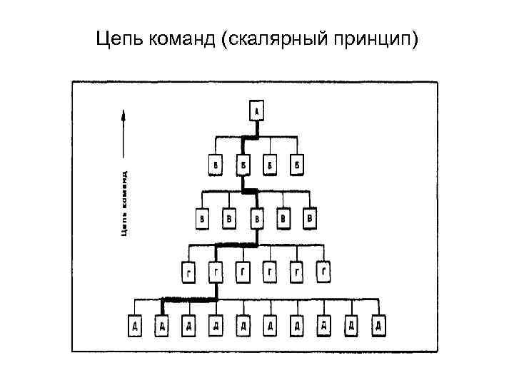 Цепь команд (скалярный принцип) 