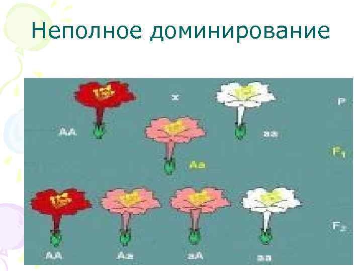 Неполное доминирование 