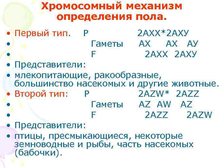  Хромосомный механизм   определения пола.  • Первый тип. Р  2