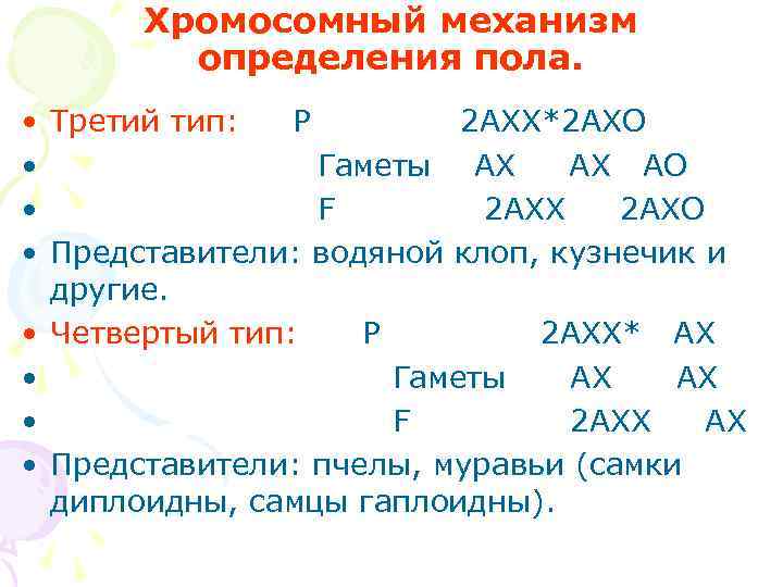   Хромосомный механизм   определения пола.  • Третий тип:  Р