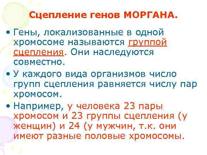 Группа генов локализованных в одной хромосоме