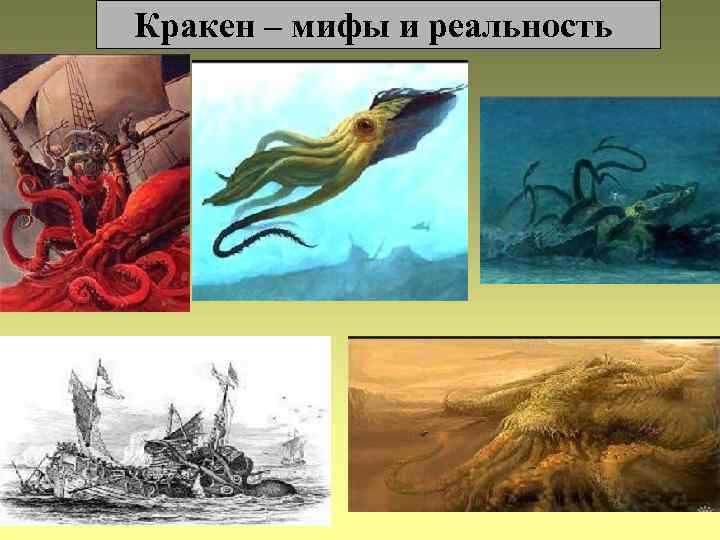 Кракен – мифы и реальность 