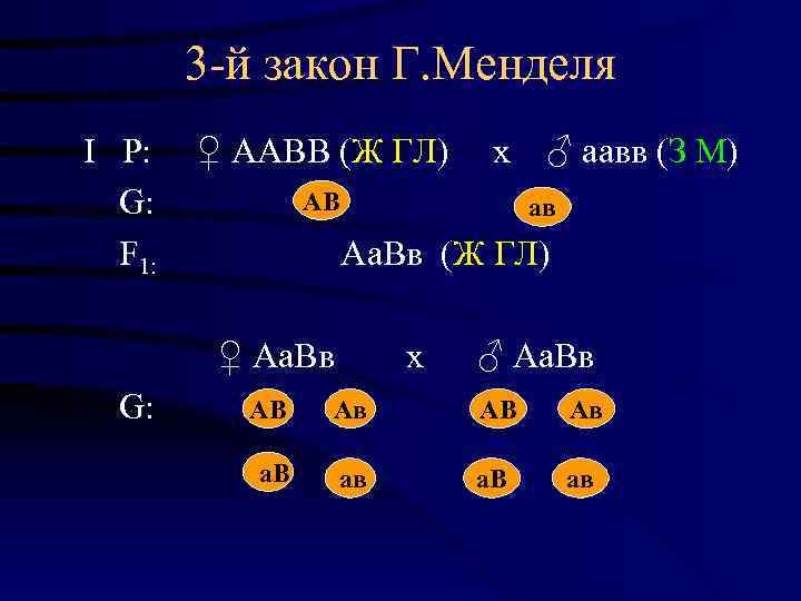    3 -й закон Г. Менделя  I  Р: ♀ ААВВ