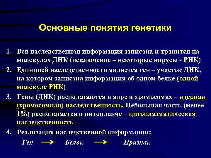   Основные понятия генетики 1. Вся наследственная информация записана и хранится на