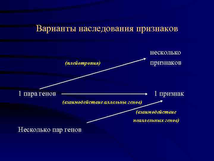    Варианты наследования признаков       несколько 