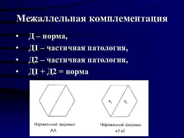 Межаллельная комплементация •  Д – норма,  •  Д 1 – частичная