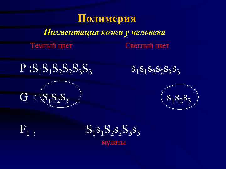      Полимерия     Пигментация кожи у человека