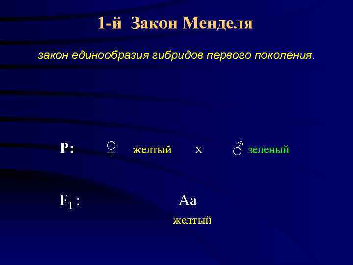    1 -й Закон Менделя закон единообразия гибридов первого поколения.  