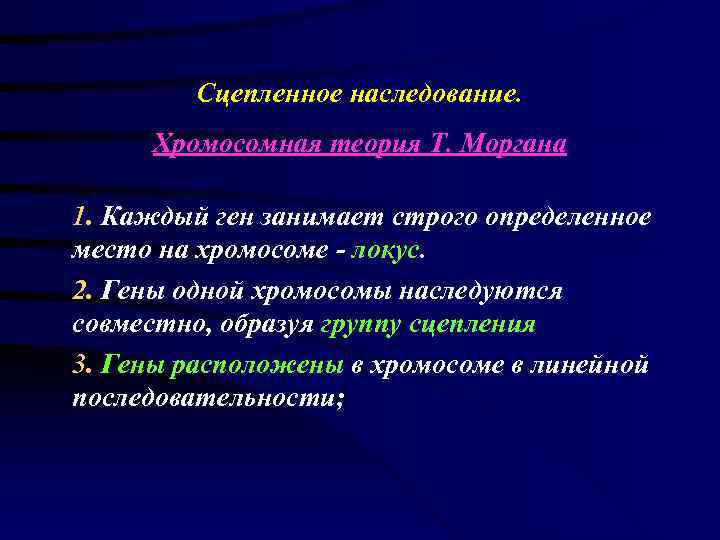   Сцепленное наследование.  Хромосомная теория Т. Моргана 1. Каждый ген занимает строго
