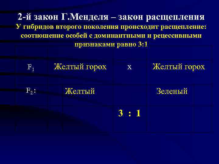2 -й закон Г. Менделя – закон расщепления У гибридов второго поколения происходит расщепление: