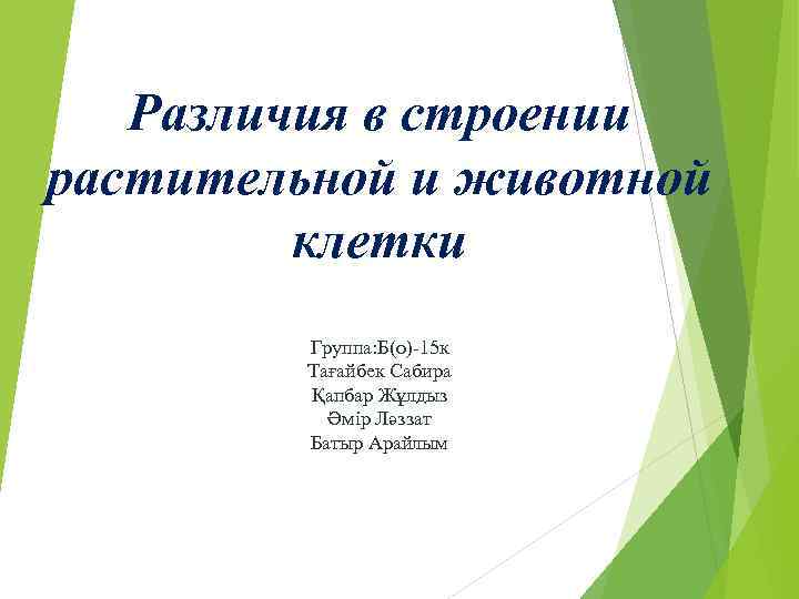   Различия в строении растительной и животной   клетки   Группа: