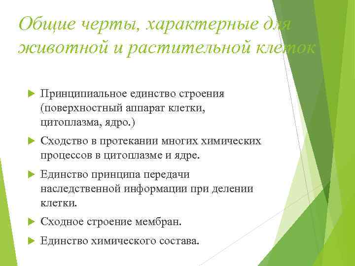 Общие черты, характерные для животной и растительной клеток Принципиальное единство строения (поверхностный аппарат клетки,