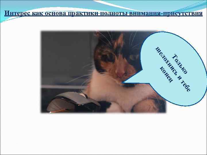 Интерес как основа практики полноты внимания-присутствия    ш    ел