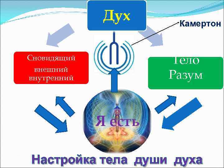    Дух Камертон  Сновидящий  Тело внешний внутренний  Разум 