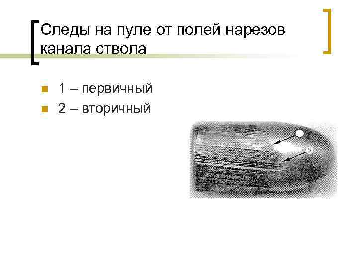 След поли. Следы от полей нарезов канала ствола. Следв от пллец нареща канала ствола. Следы на пуле криминалистика. Следы на пуле после выстрела криминалистика.