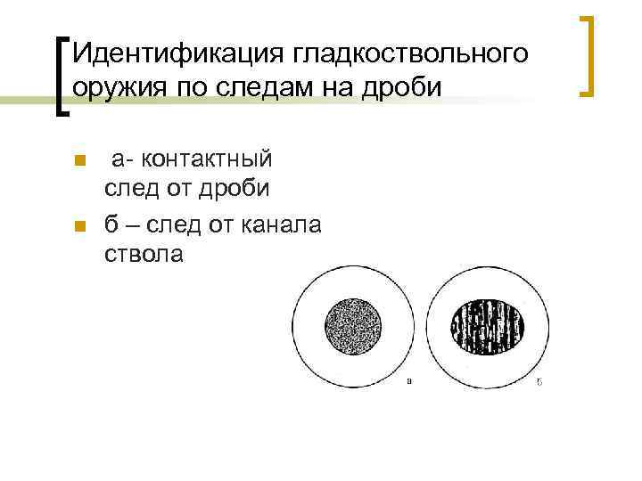 Идентификация гладкоствольного оружия по следам на дроби n  а- контактный след от дроби