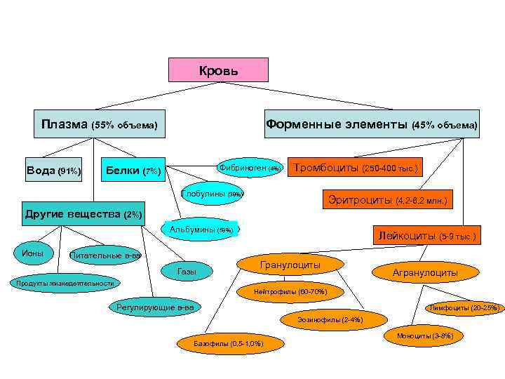      Кровь   Плазма (55% объема)   