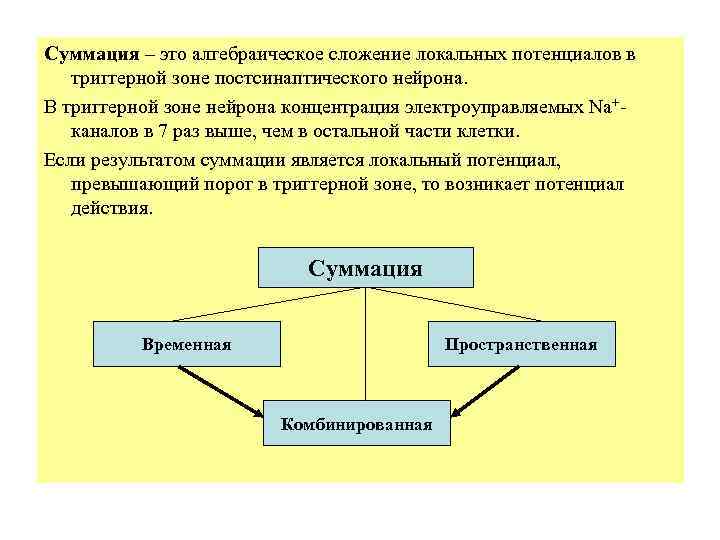 Суммация – это алгебраическое сложение локальных потенциалов в  триггерной зоне постсинаптического нейрона. В