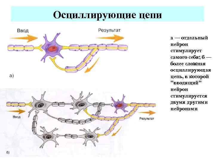 Стимуляция нейронов