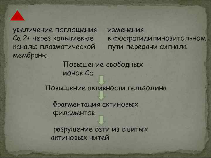 увеличение поглощения  изменения Ca 2+ через кальциевые  в фосфатидилинозитольном каналы плазматической 