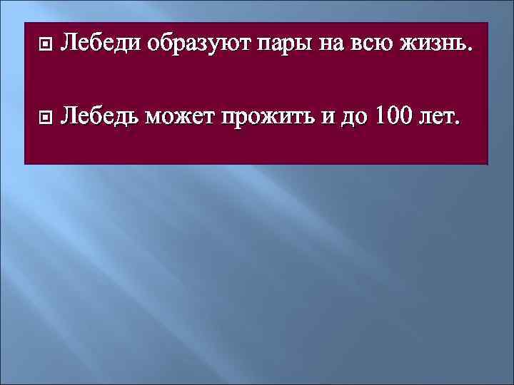   Лебеди образуют пары на всю жизнь.  Лебедь может прожить и до