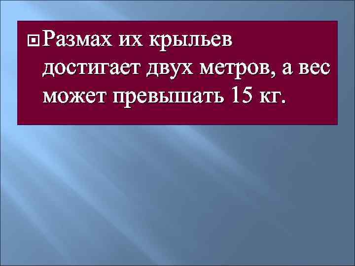  Размахих крыльев достигает двух метров, а вес может превышать 15 кг. 
