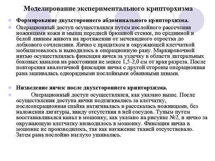  Моделирование экспериментального крипторхизма l  Формирование двухстороннего абдоминального крипторхизма. l  Операционный доступ
